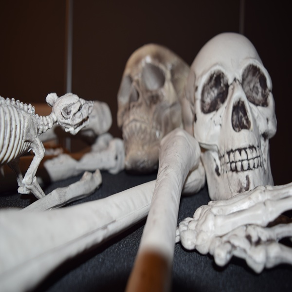 Team building innovador